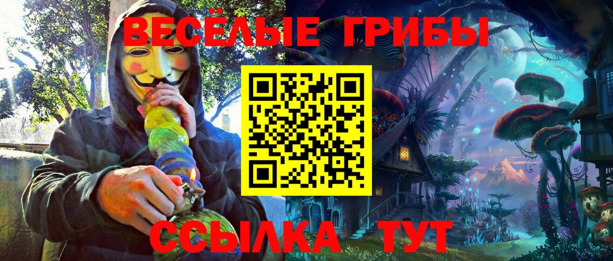 Псилоцибиновые грибы Cubensis Торжок