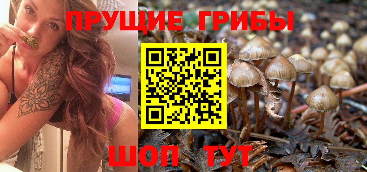 Торжок  Псилоцибиновые грибы прущие грибы  Вход с VPN  наркотики  Псилоцибиновые грибы мицелий 